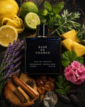 Blue de Chance - Eau de parfum by Al Jawdah 100 ML